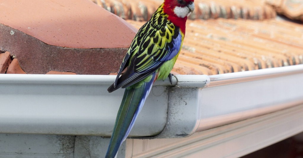 Rain Gutter Installations