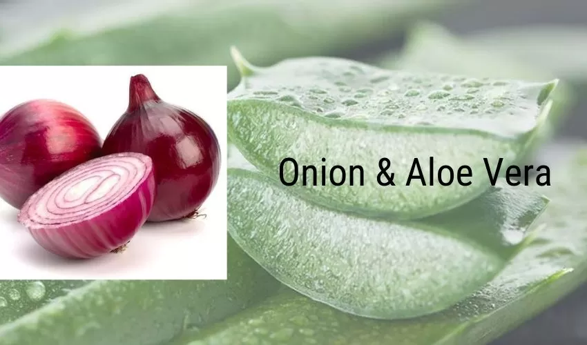 Aloe Vera & Onion Juice
